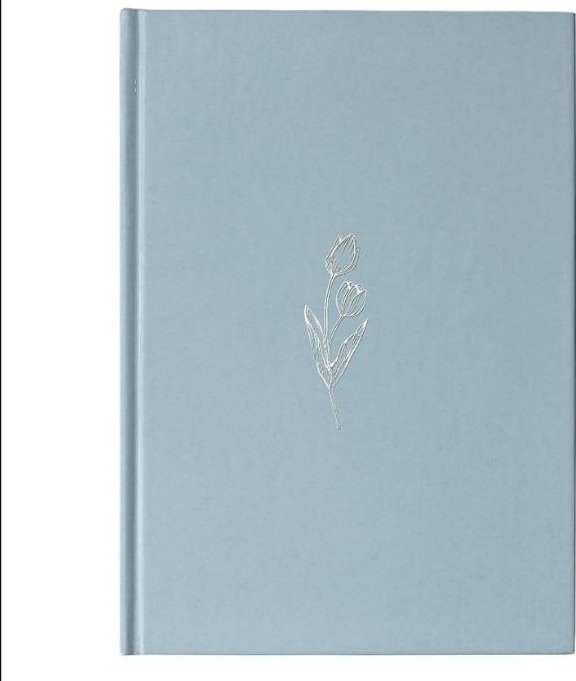 Bíblia NVI Econômica Capa Dura Azul Tulipa